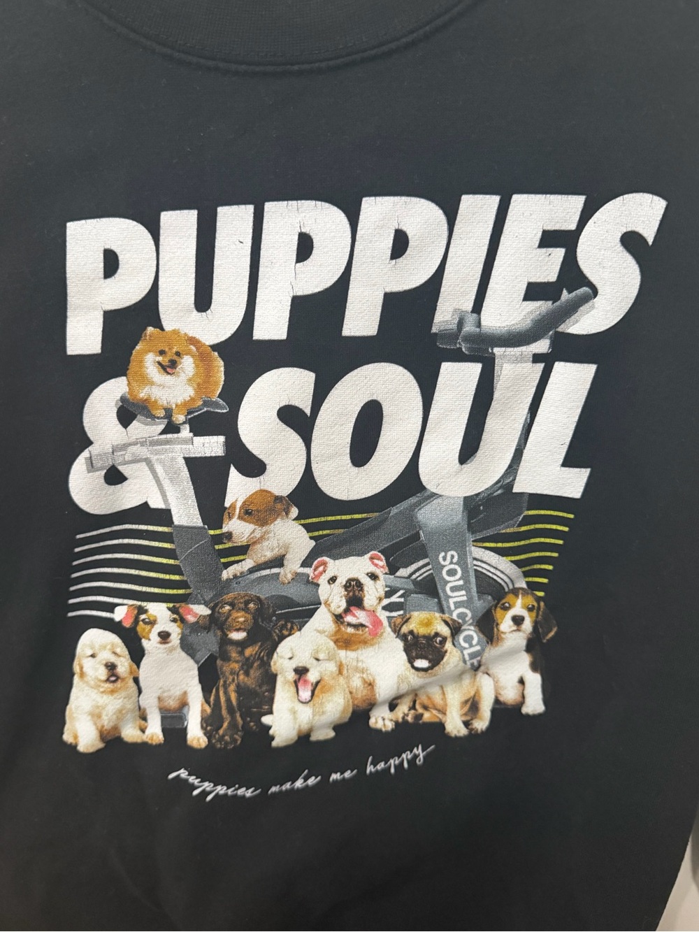 Puppies & Soul sweatshirt